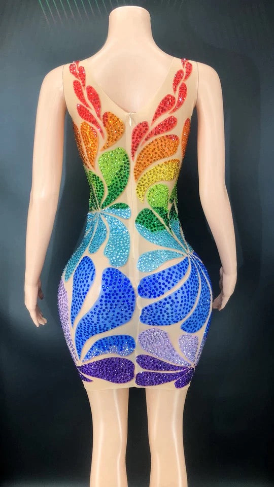 Multicolor Transparent Dress