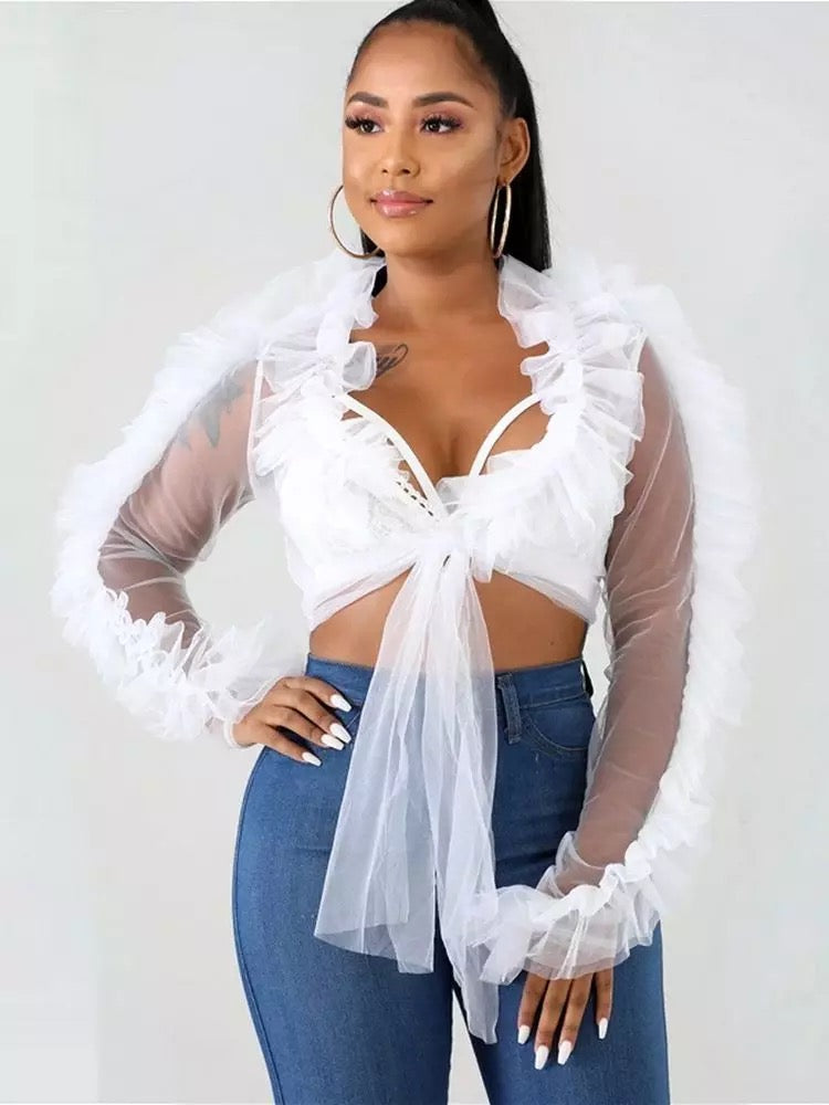 All Sheer Ruffle Sleeve Top