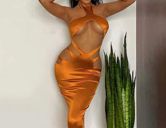 Bodycon Mini Sexy Dress