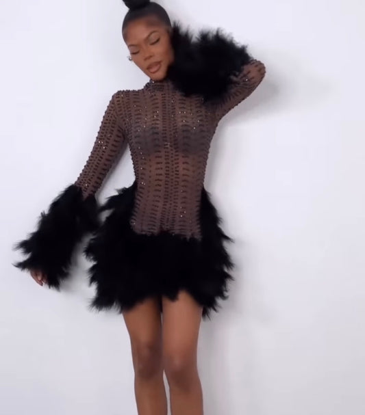 Fancy Feather Dress
