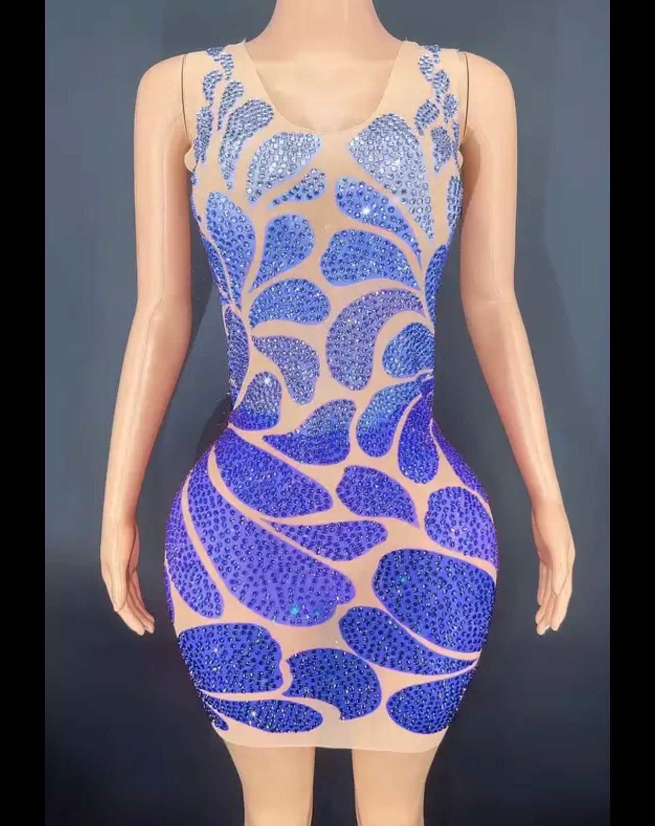 Multicolor Transparent Dress