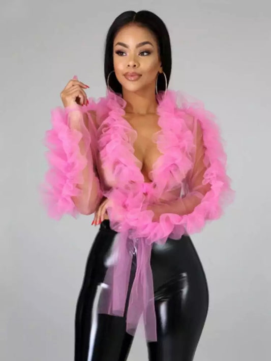 All Sheer Ruffle Sleeve Top