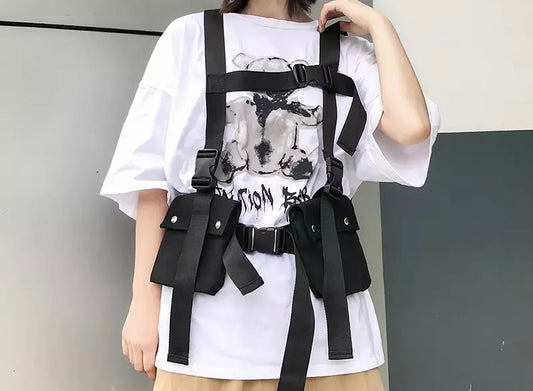 2 Pocket Chess Fanny