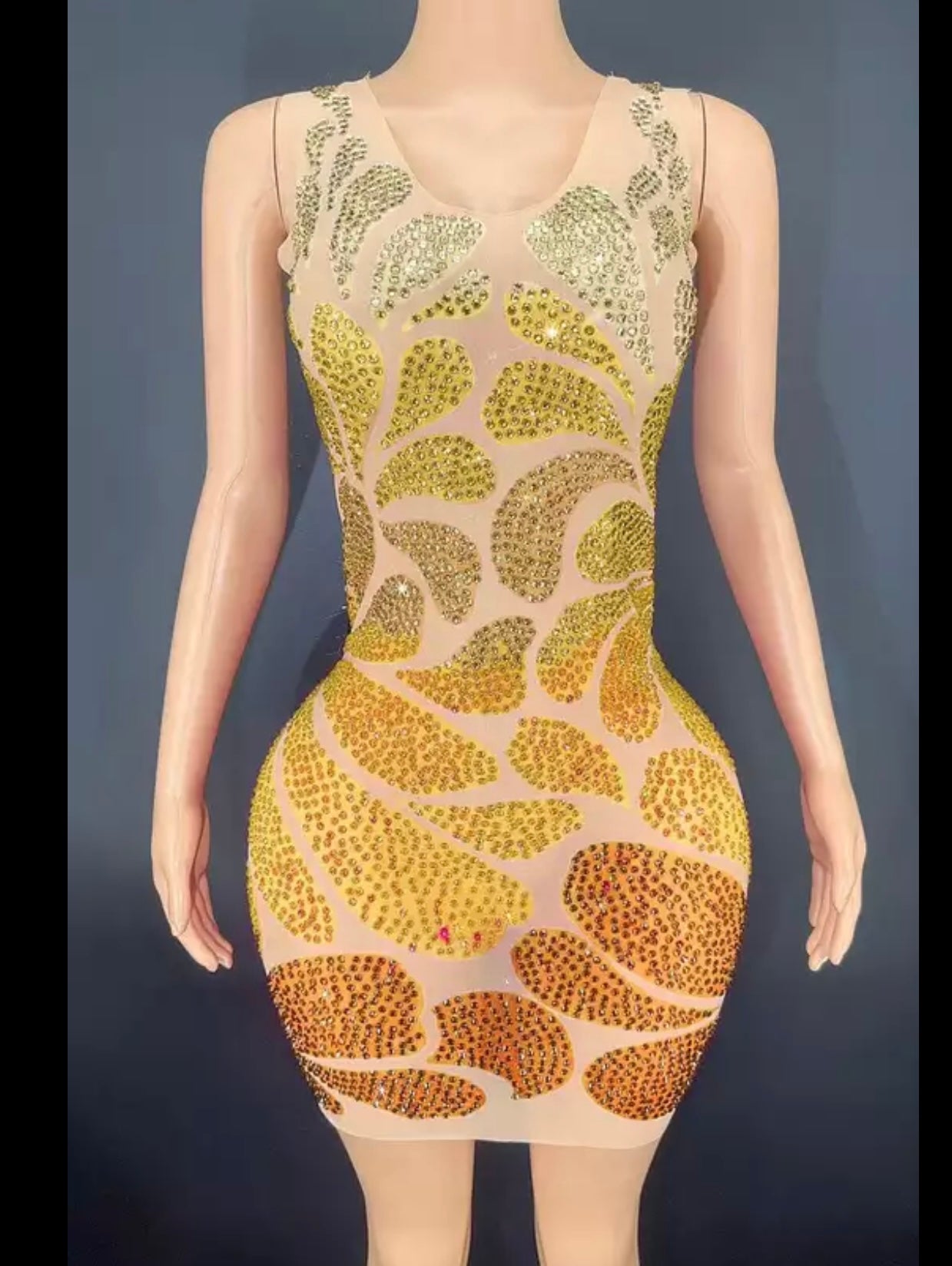 Multicolor Transparent Dress