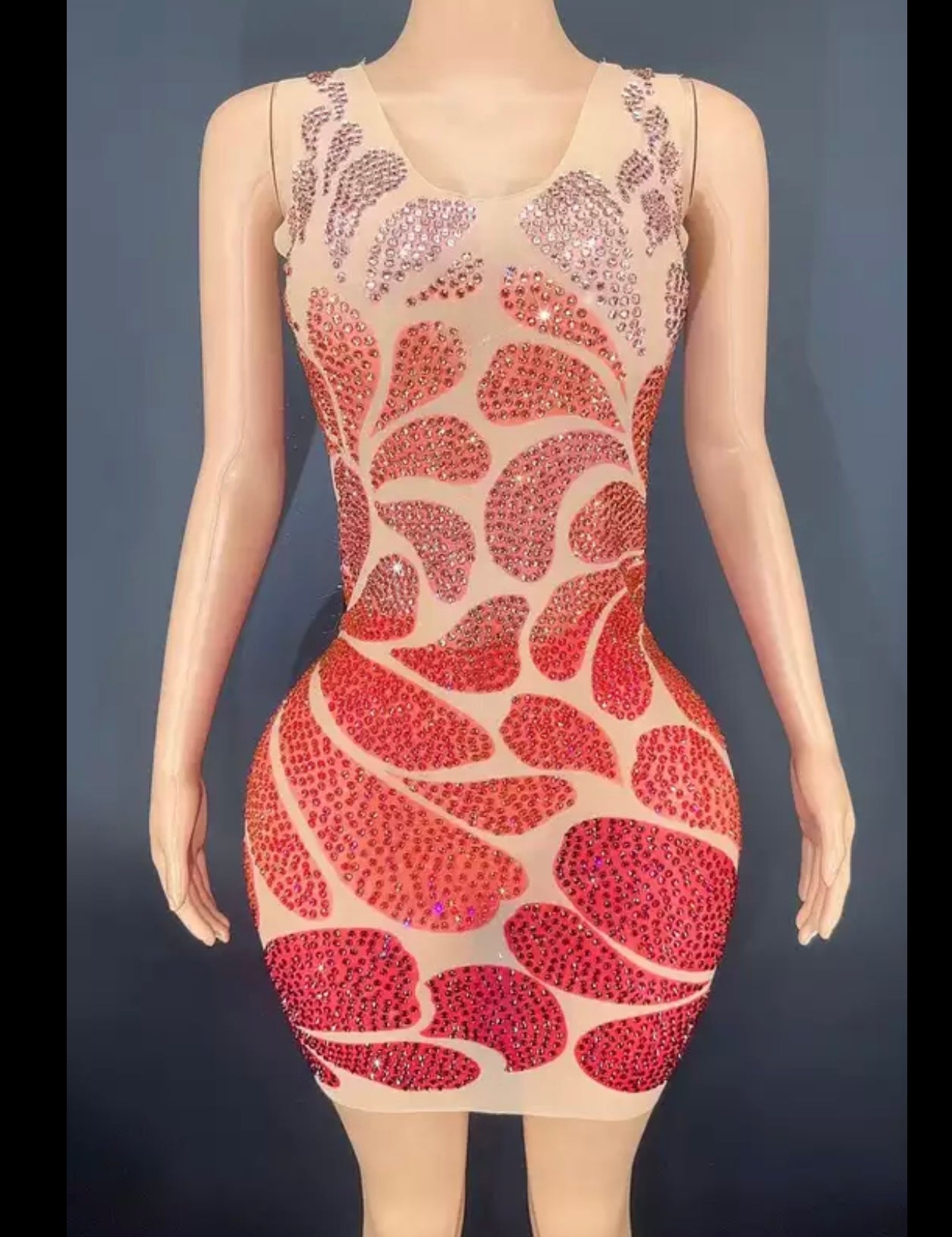 Multicolor Transparent Dress