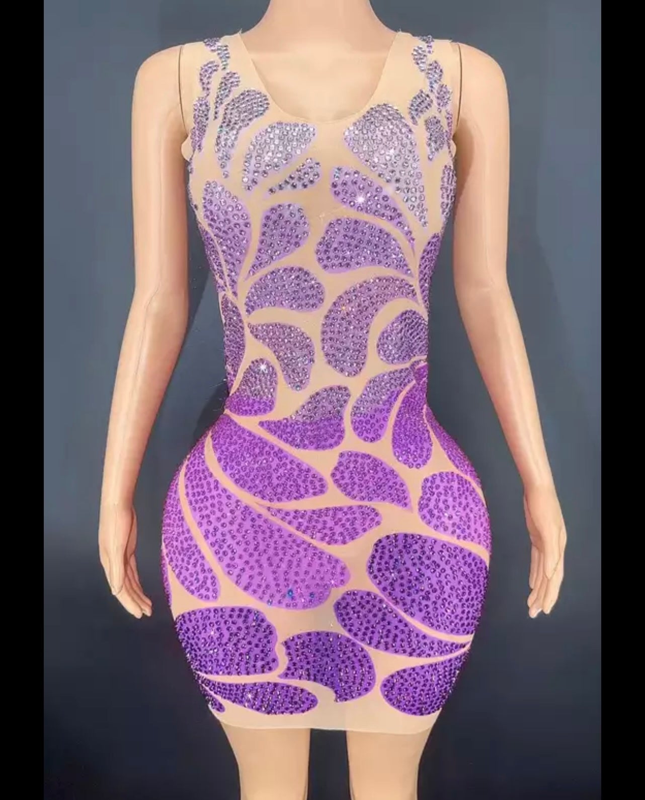 Multicolor Transparent Dress