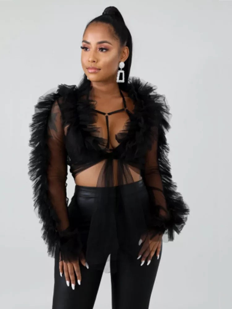 All Sheer Ruffle Sleeve Top