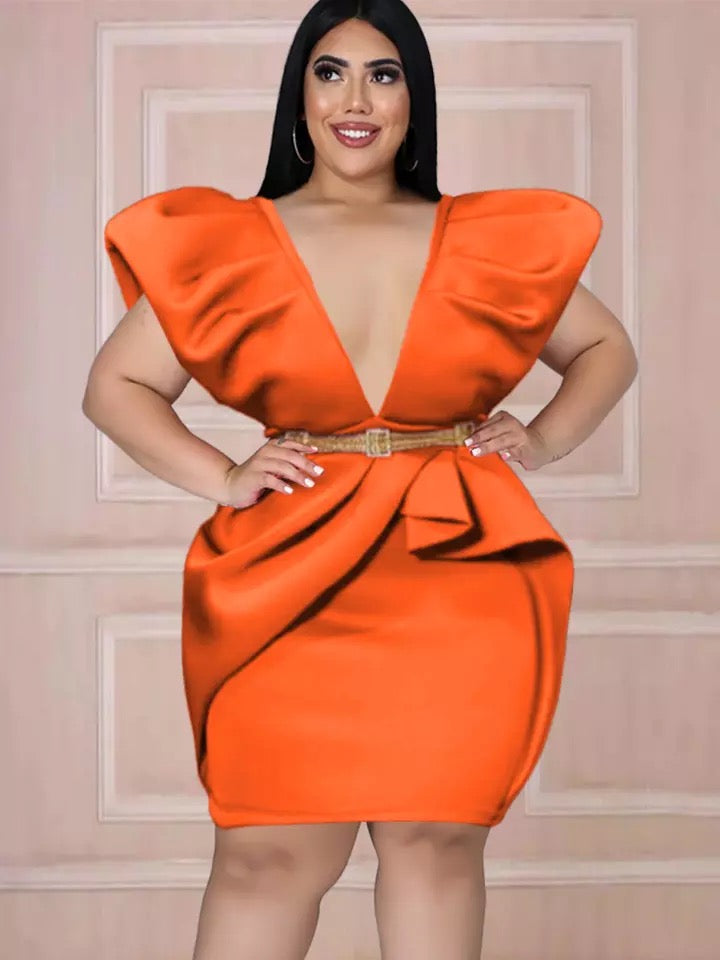 Plus Size Puff Sleeve Dress