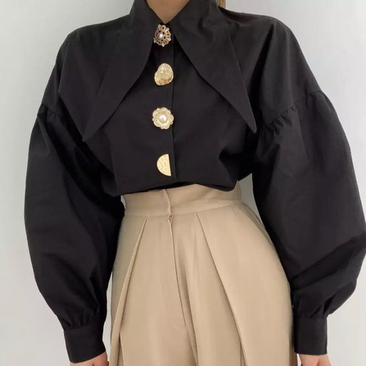 Long Collar Elegant Blouse