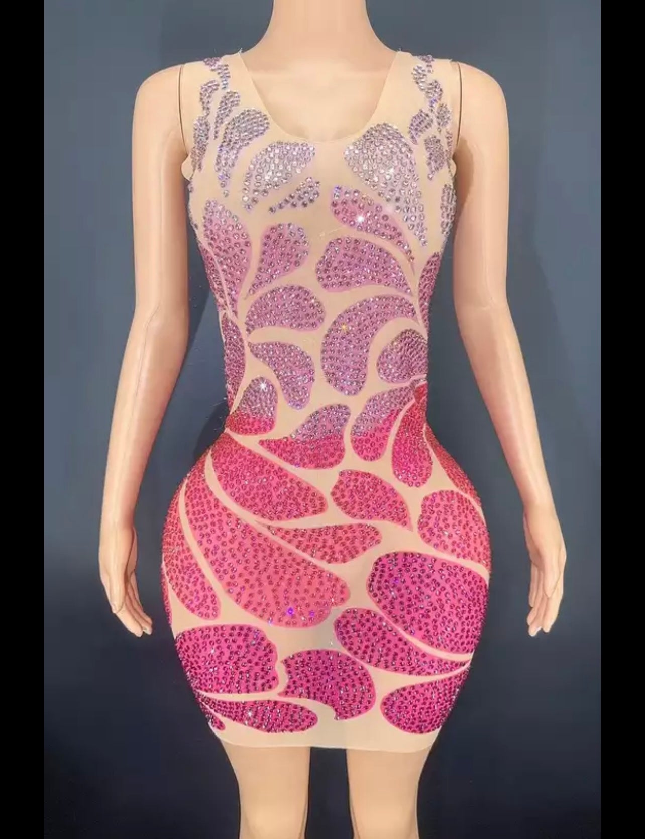 Multicolor Transparent Dress
