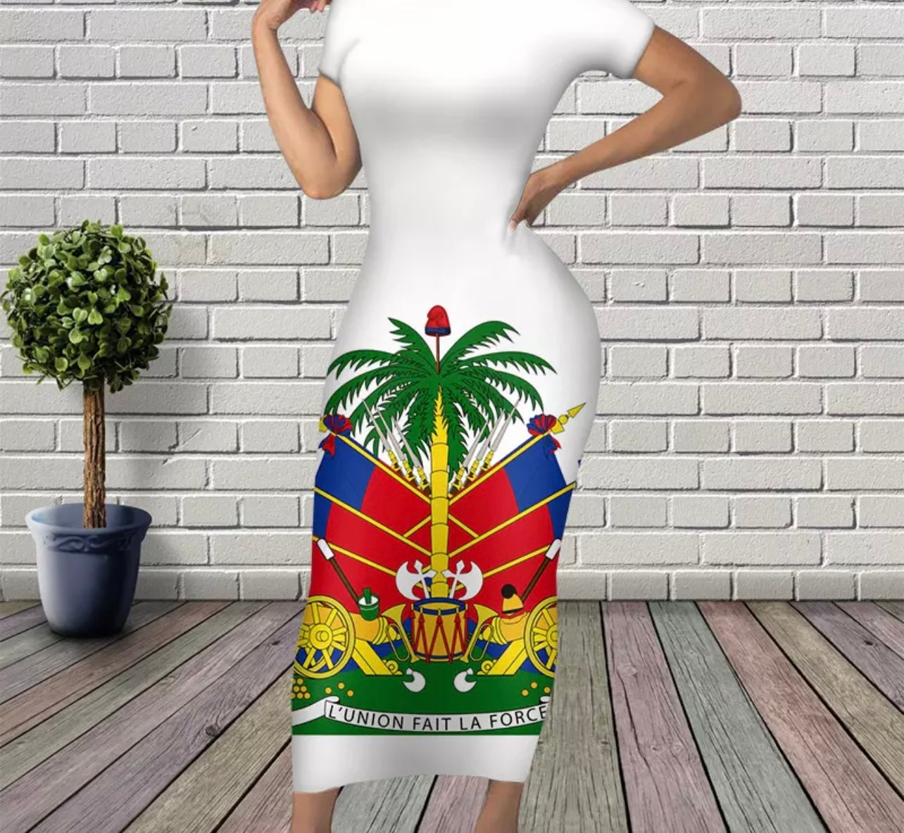 Sexy Haitian Fitted Dress