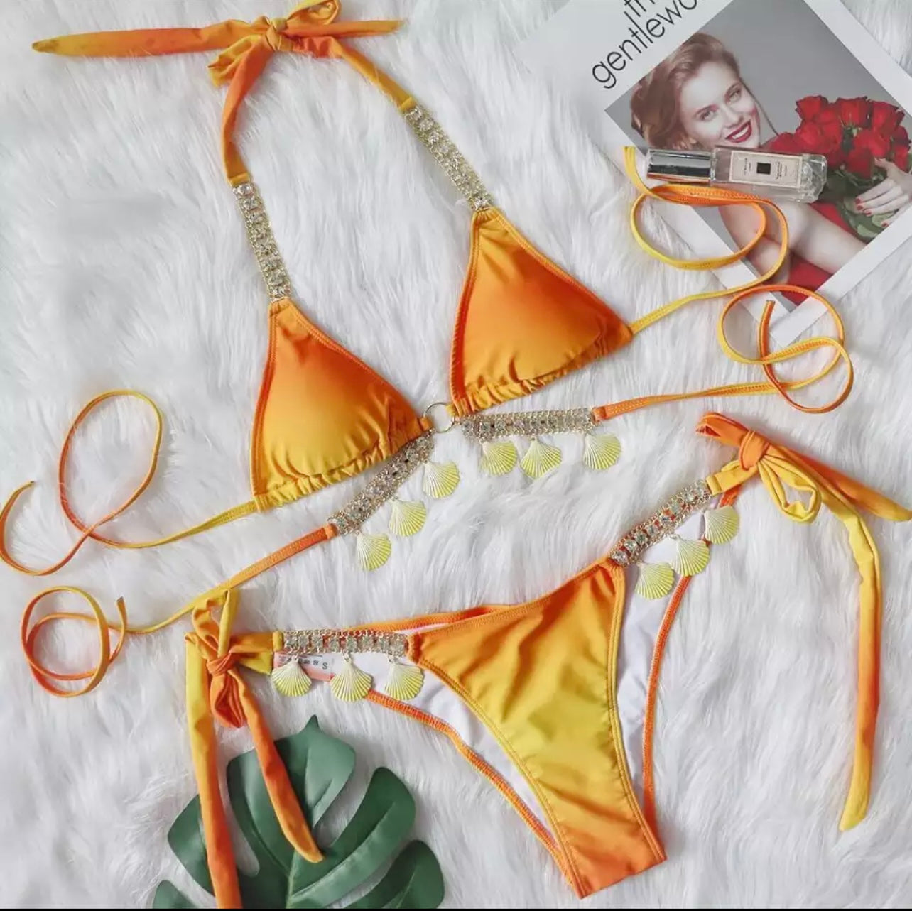 Sexy Shell  Bikini