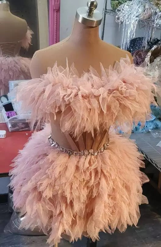 Feather Short Sexy Dress