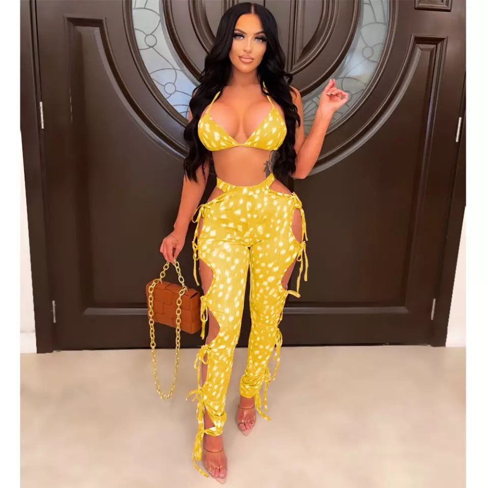 Sleek Pants Set