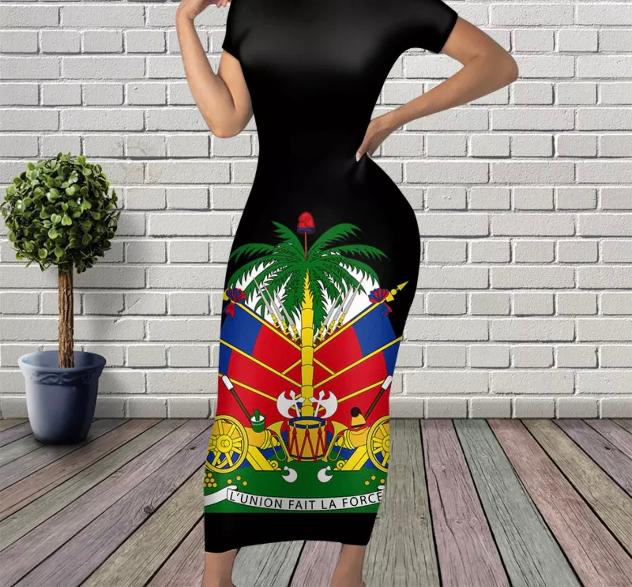 Sexy Haitian Fitted Dress