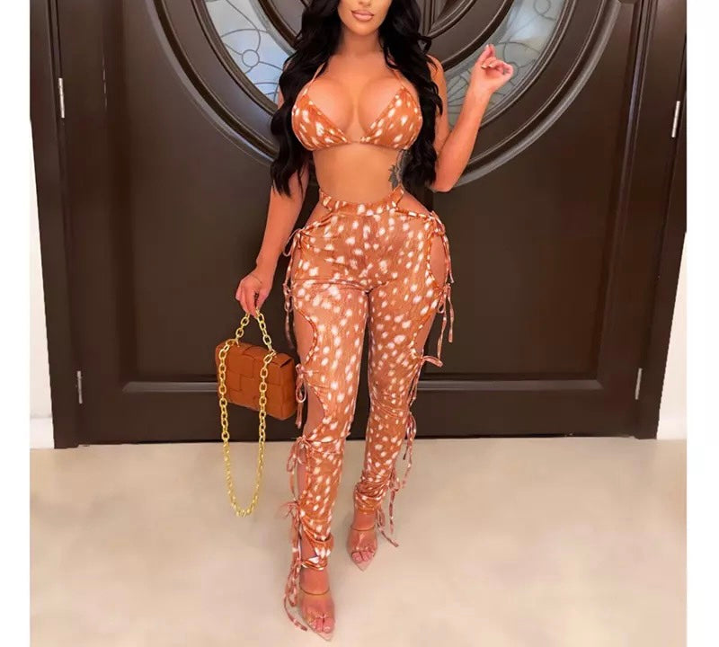 Sleek Pants Set
