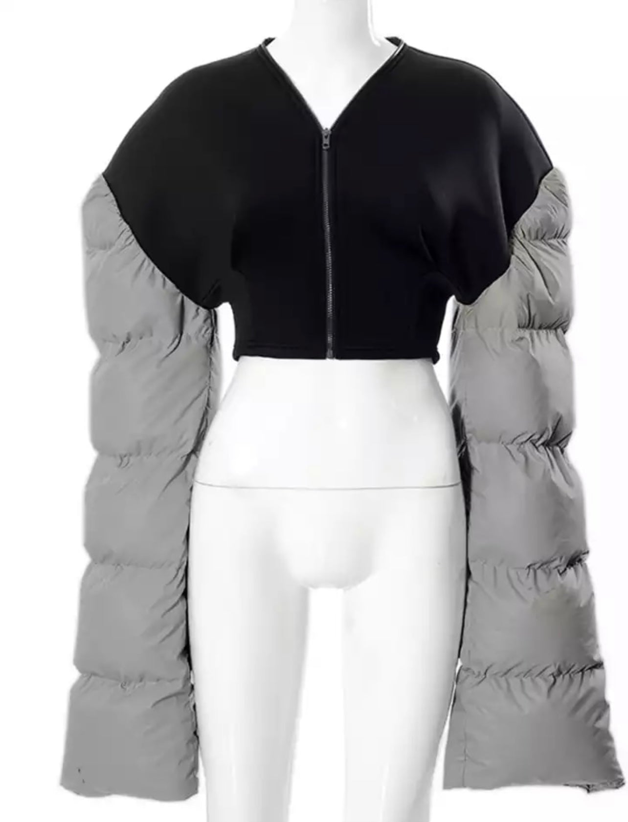 Long Sleeve Jacket